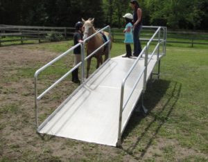 Horse mounting ramp