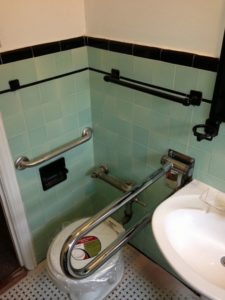 Toilet support rail extended down