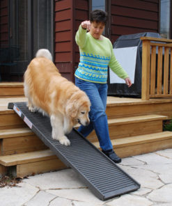 Pet Step Graphite Ramp on Outdoor Deck