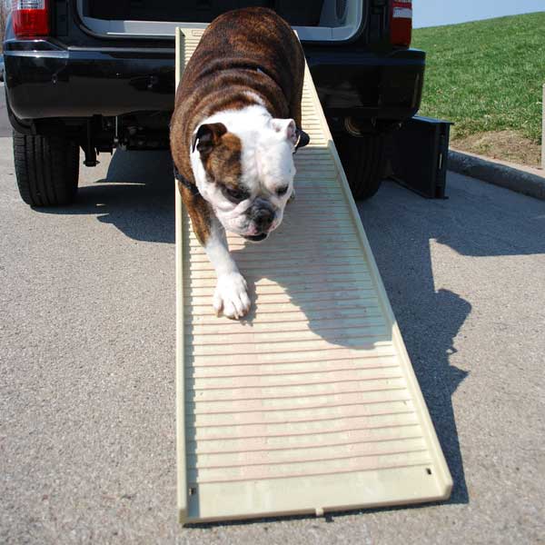 Pet Step Beige Ramp on SUV