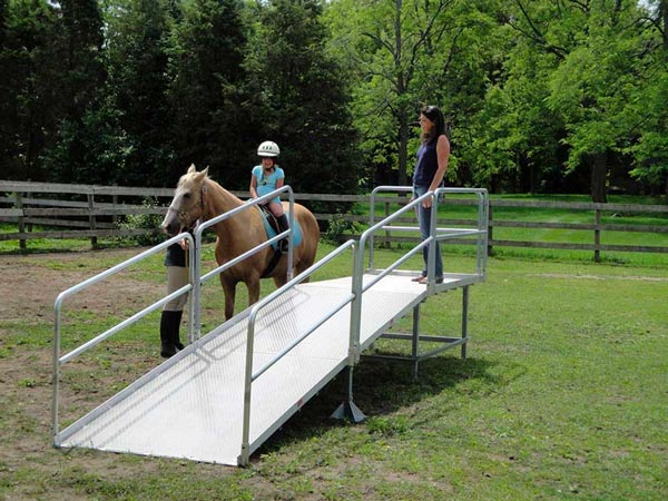 Horse Mounting Ramp Assembled